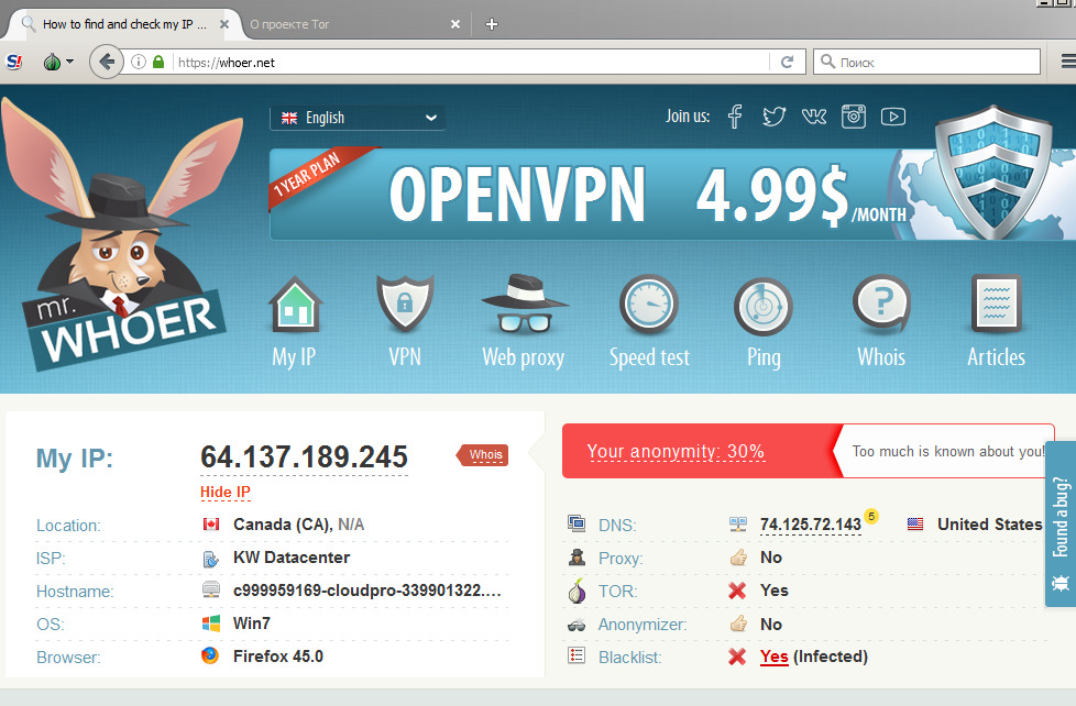 Результат соединения через Tor