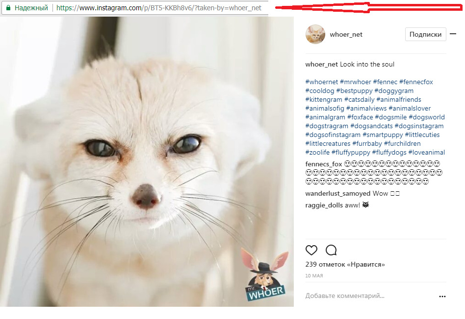 Кликните по любой понравившейся вам фотографии