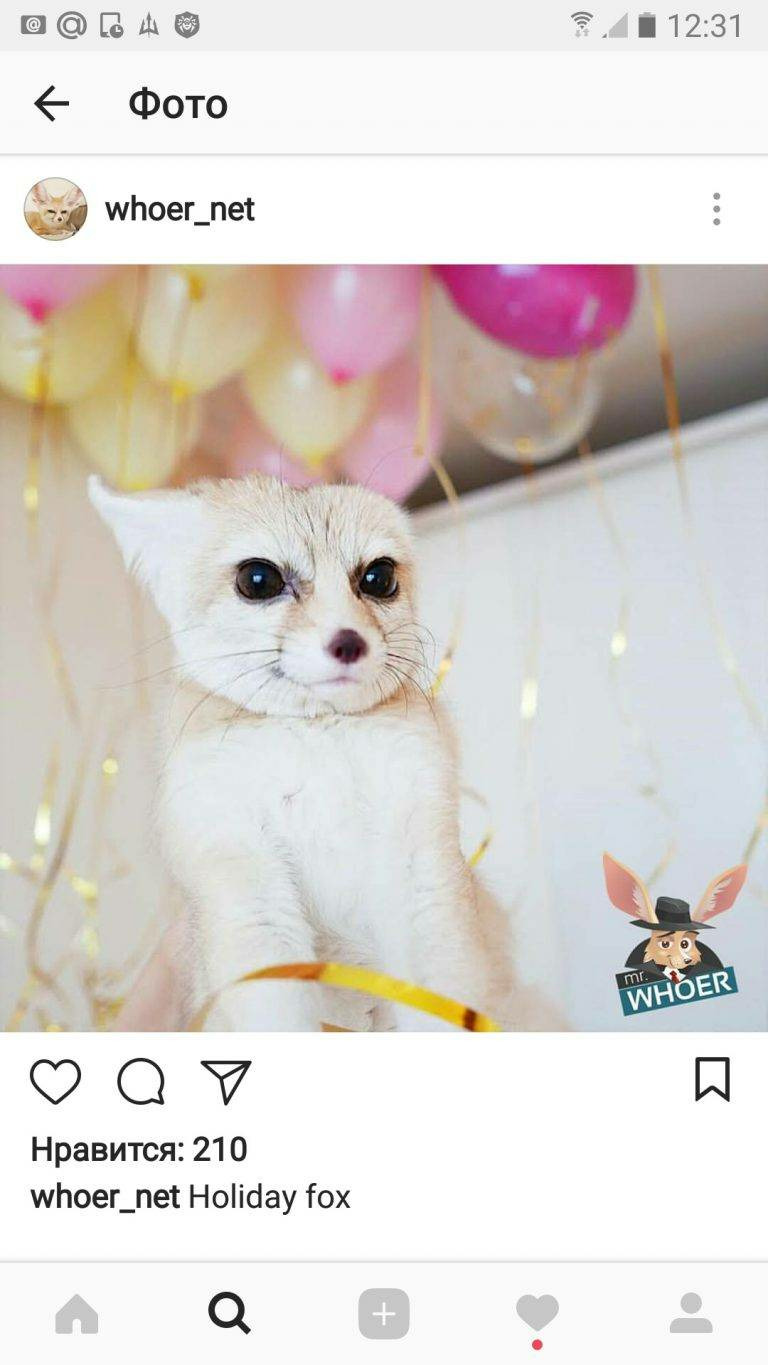 Нажмите на понравившееся фото
